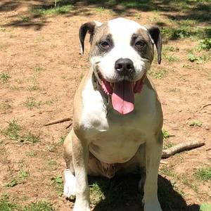 Meet your Posher, Richard